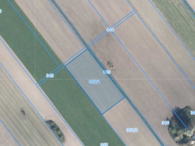 Działka | Żabinko dz. 352/1 | 0,3525 ha