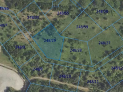 Działka| Dąbrowa dz 248/29 |  0,3025 ha