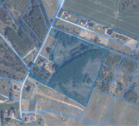 Działka | Lisewiec dz. 367/6 |  3,6874 ha