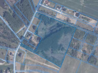 Działka | Lisewiec dz. 367/6 |  3,6874 ha
