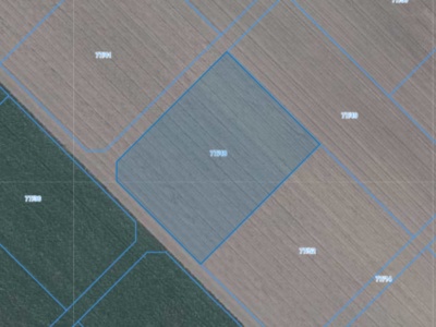 Działka | Łagiewniki dz. 77/48 | 0,3160 ha