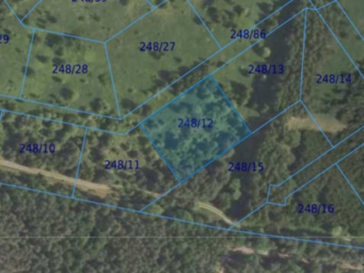 Działka| Dąbrowa dz 248/12 | 0,3000 ha