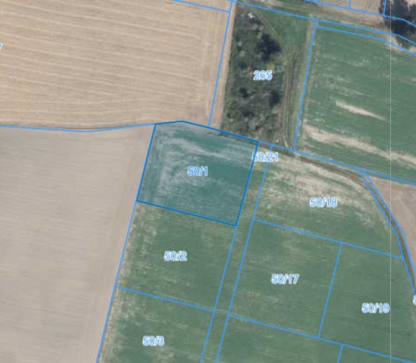 Działka | Węglewo dz. 50/1 | 0,3149 ha