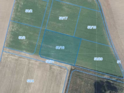 Działka | Węglewo dz. 50/16 |  0,3645 ha