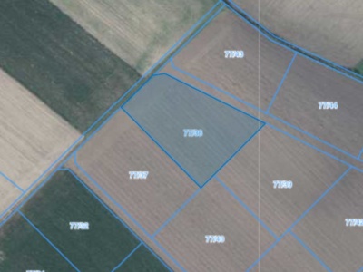 Działka | Łagiewniki dz. 77/38 | 0,3416 ha