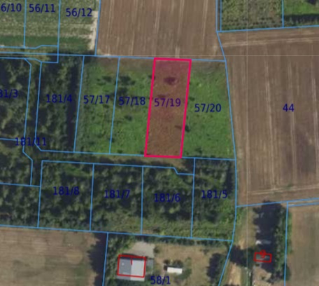 Działka| Cholewy dz 57/19 | 0,1979 ha