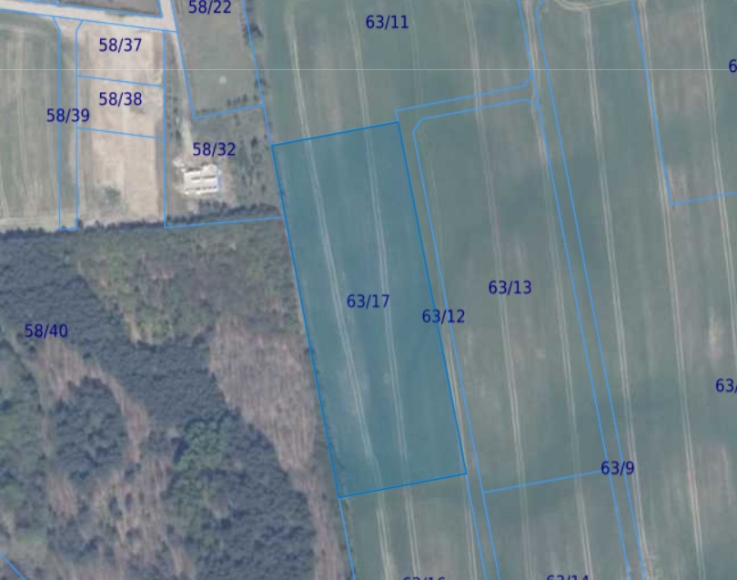 Działka | Ełganowo dz 63/17 | 1,0001 ha