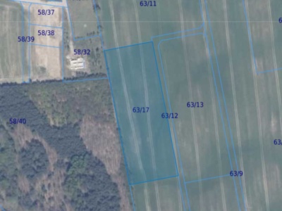 Działka | Ełganowo dz 63/17 | 1,0001 ha