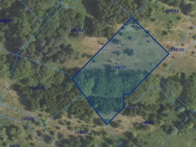 Działka| Dąbrowa dz 248/54 | 0,4464 ha