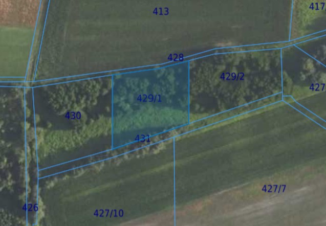 Działka| Grędzina dz 429/1 | 0,3513 ha