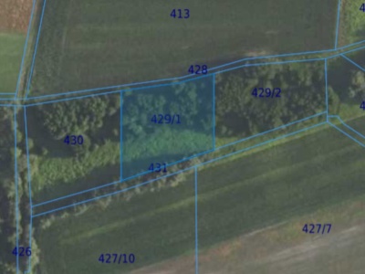 Działka| Grędzina dz 429/1 | 0,3513 ha