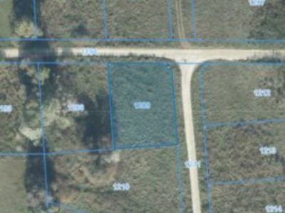 Działka | Borówiec dz. 1209 | 0,0968 ha