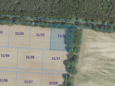 Działka| Grabowno Wielkie dz 31/36 | 0,3165 ha