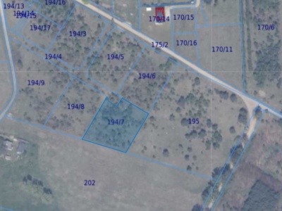 Działka | Ełganowo dz 194/7 | 0,3001 ha