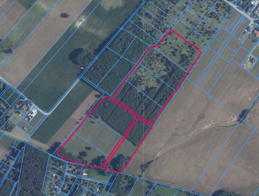 Działka | TYMIANKA dz. 200/28, 200/29,200/30,200/31,200/33,200/34,200/35,200/36 | 9,6966 ha