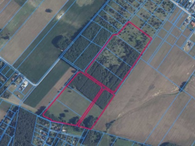 Działka | TYMIANKA dz. 200/28, 200/29,200/30,200/31,200/33,200/34,200/35,200/36 | 9,6966 ha