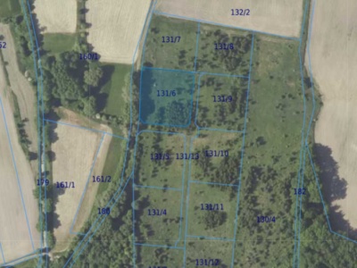 Działka| CIELĘTNIKI dz 131/6 | 0,3139 ha