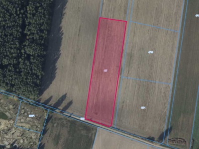 Działka | Bliżyce dz. 4/7 | 1,1999 ha