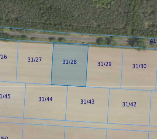 Działka| Grabowno Wielkie dz 31/28 | 0,3000 ha