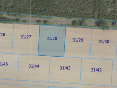Działka| Grabowno Wielkie dz 31/28 | 0,3000 ha