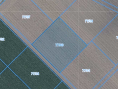 Działka | Łagiewniki dz. 77/40 | 0,3415 ha