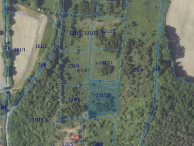 Działka| CIELĘTNIKI dz 131/12 | 0,3000 ha