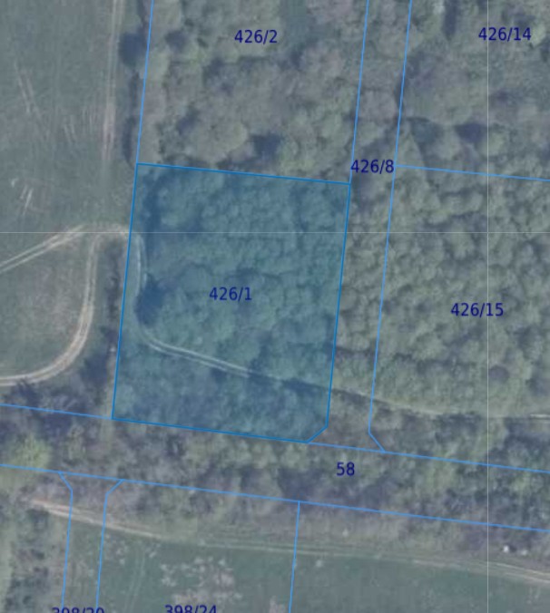 Działka | Pręgowo Górne dz. 426/1 | 0,3020 ha