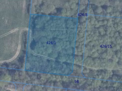 Działka | Pręgowo Górne dz. 426/1 | 0,3020 ha