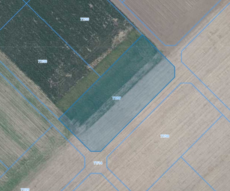 Działka | Łagiewniki dz. 77/57 | 0,3092 ha
