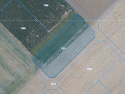 Działka | Łagiewniki dz. 77/57 | 0,3092 ha