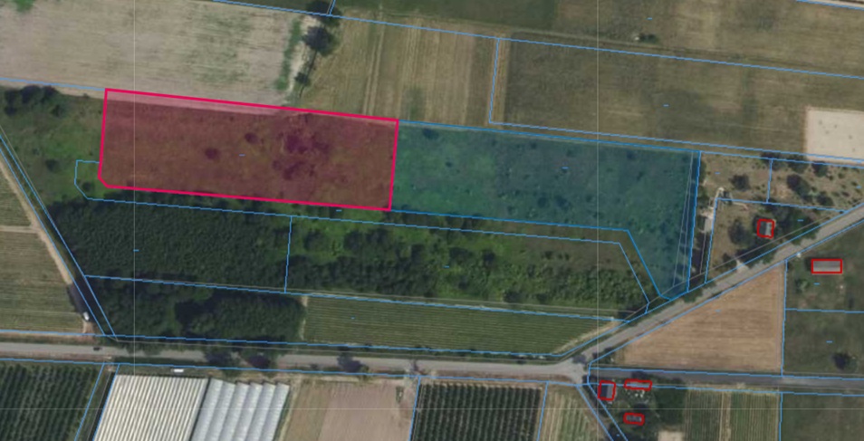 Działka | Boglewice dz. 315/3 i 315/4 | kompleks 1,9302 ha