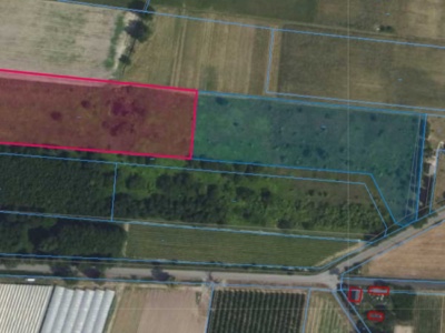 Działka | Boglewice dz. 315/3 i 315/4 | kompleks 1,9302 ha