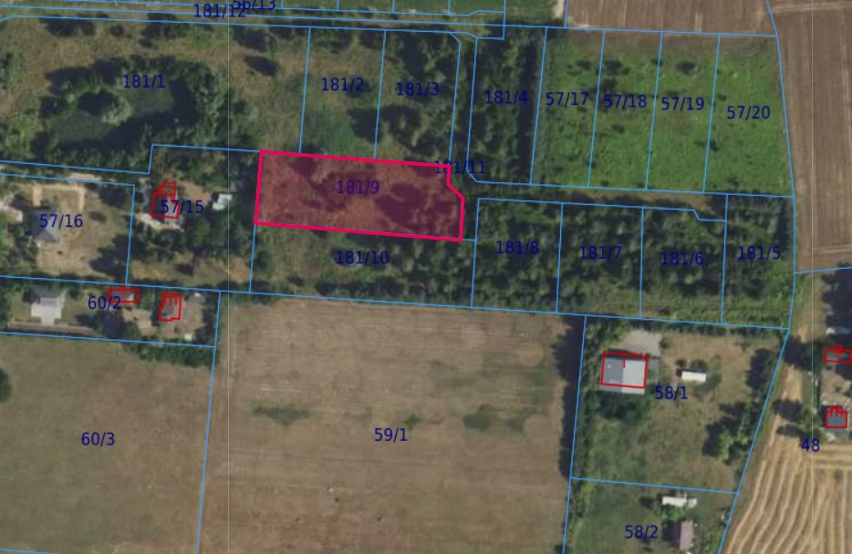 Działka | Cholewy dz. 181/9 | 0,3091 ha