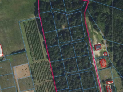 Działki | Duży Dół dz 2/4 do 2/25 | 2,8224 ha