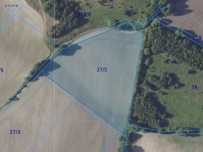 Działka | Miłocice Małe dz. 37/5 | 1,3996 ha
