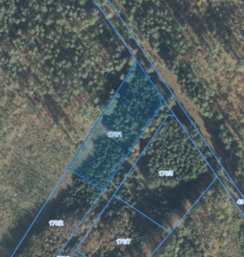 Działka | Nietrzanowo dz. 176/1 | 0,3526 ha