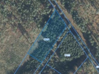 Działka | Nietrzanowo dz. 176/1 | 0,3526 ha