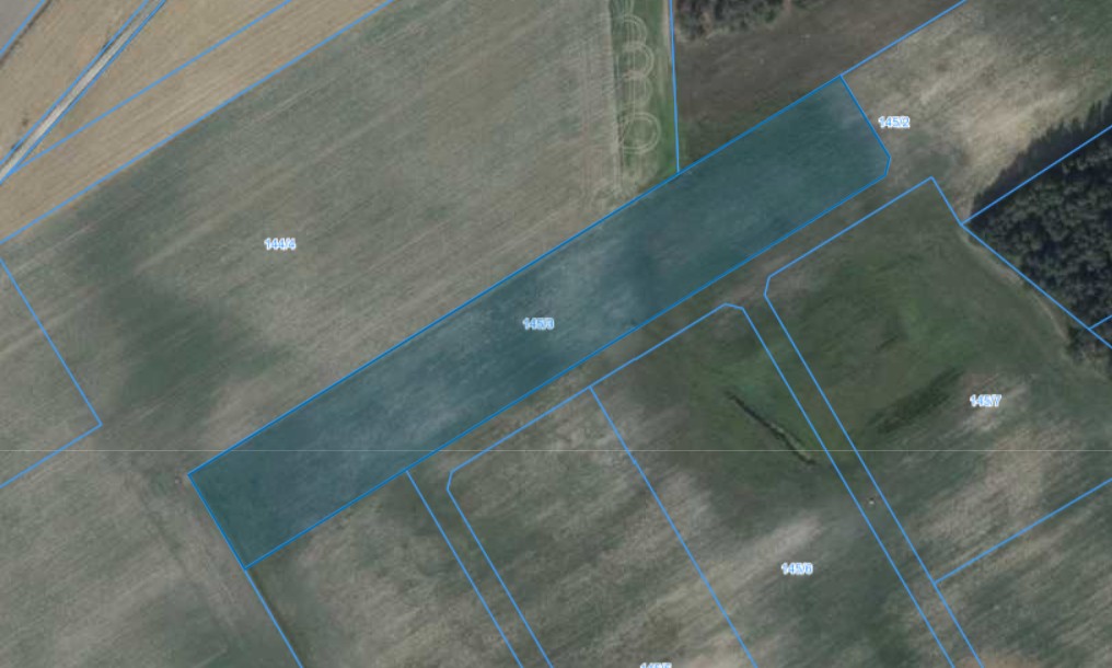 Działka | Pacholewo dz. 145/3 | 1,2523 ha