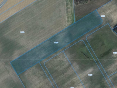 Działka | Pacholewo dz. 145/3 | 1,2523 ha