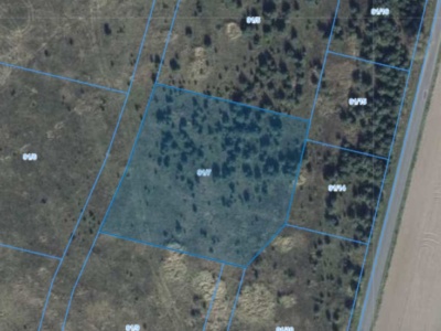 Działka| Grzybowo dz 91/7 | 0,3184 ha