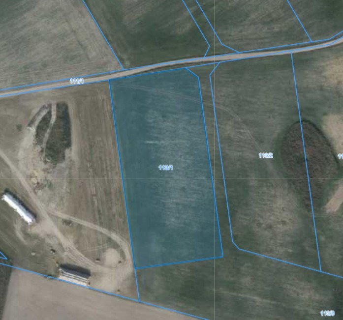 Działka | Pacholewo dz. 113/1 | 1,2486 ha