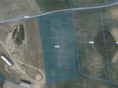 Działka | Pacholewo dz. 113/1 | 1,2486 ha