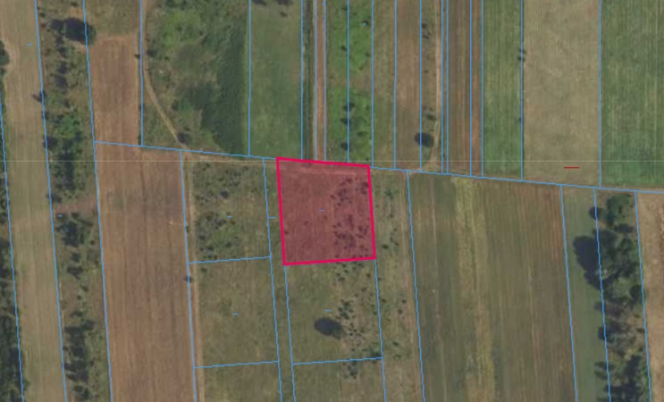 Działka | Augustówek dz. 316/18 | 0,3150 ha