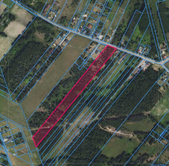 Działka | Biały  Ług dz. 67 | 2,15 ha