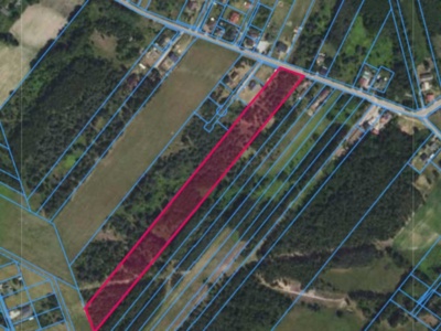 Działka | Biały  Ług dz. 67 | 2,15 ha