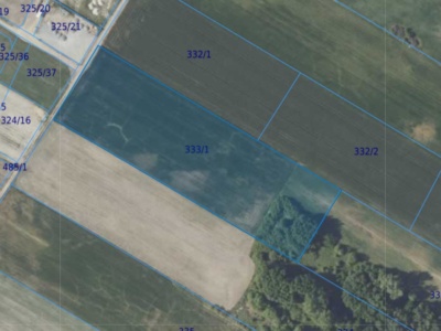 Działka | Miłoszyce dz. 333/1 | 1,6673 ha