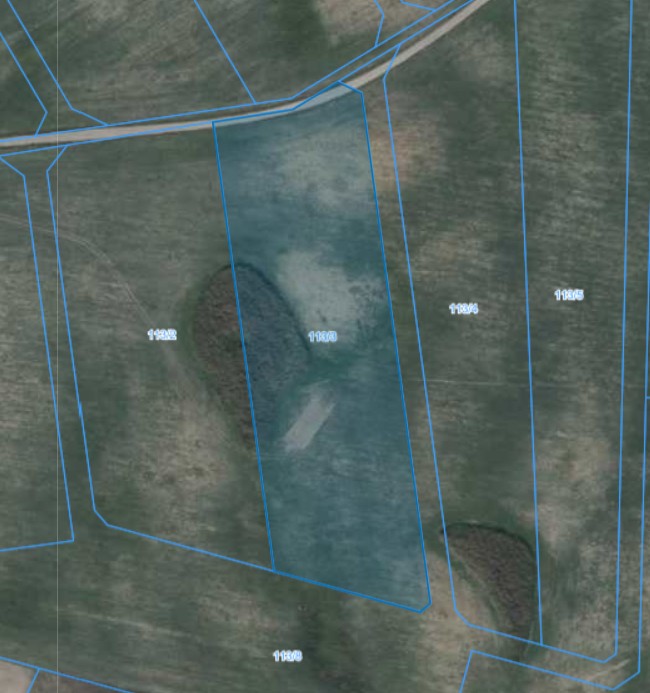 Działka | Pacholewo dz. 113/3 | 1,3330 ha