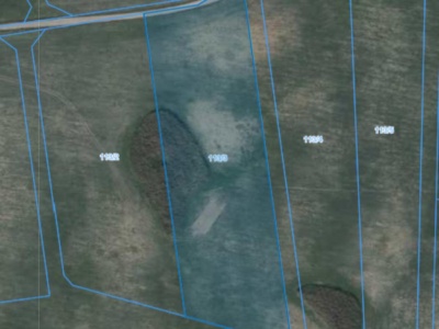 Działka | Pacholewo dz. 113/3 | 1,3330 ha