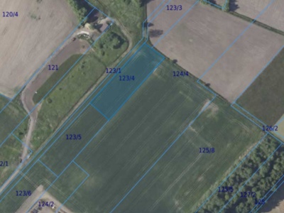 Działka| Dębina dz 123/4 |  0,3400 ha