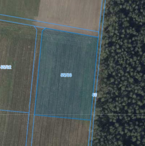 Działka | Nieszawa dz. 55/33 | 1,0582 ha